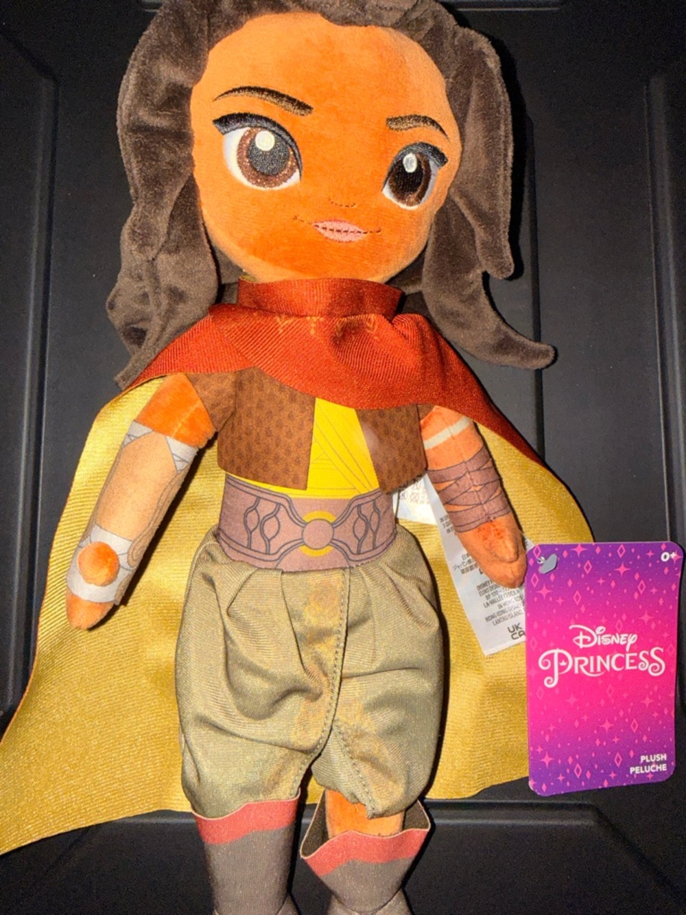 Disney princess raya doll-From Disney parks